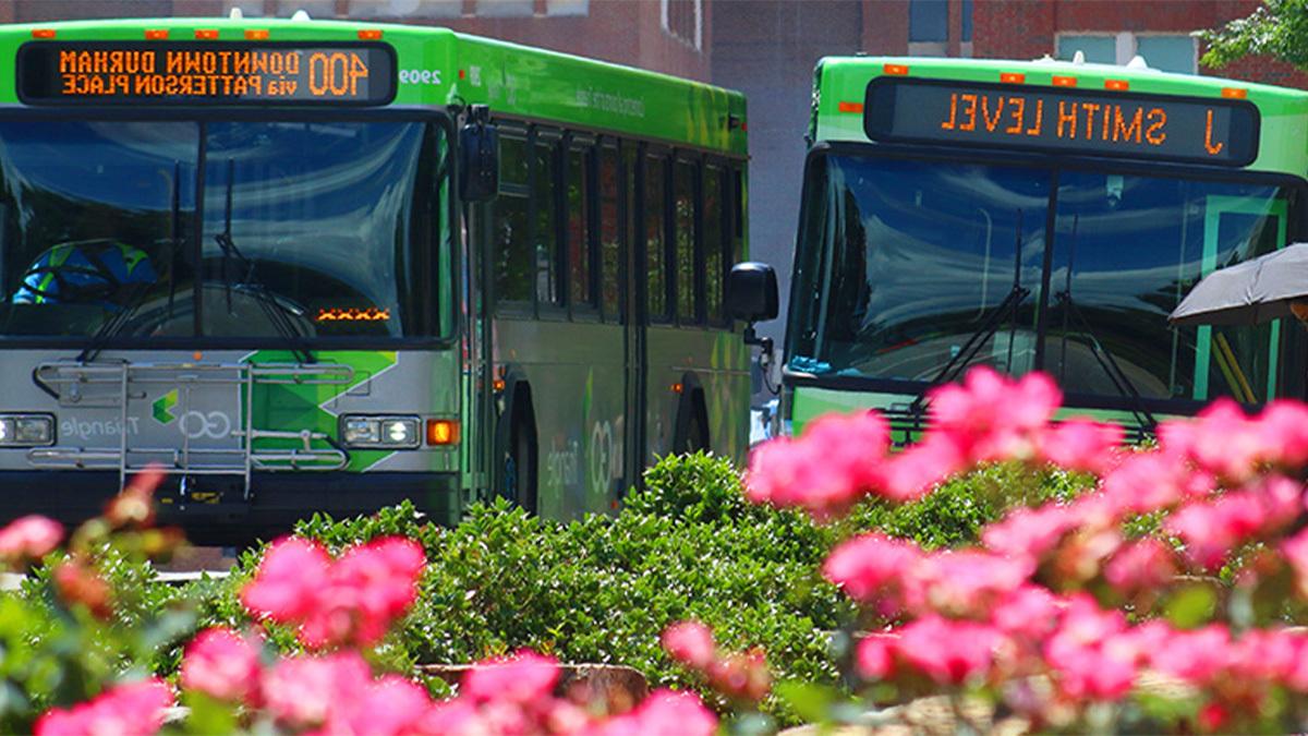 白天，卡罗莱纳校园里，两辆绿色巴士并排坐着.
